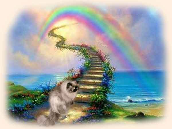 Rainbowbridge